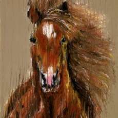 Chestnut Horse ©2014