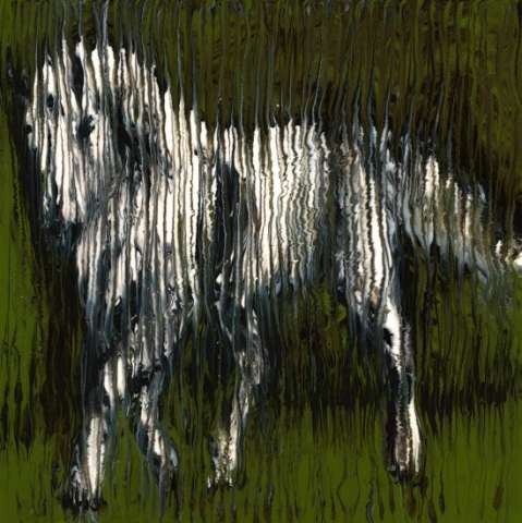 Standing Horse ©2013