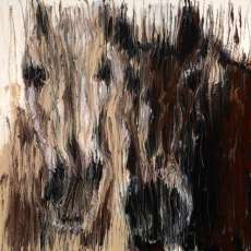 Two Horses in Browns ©2013