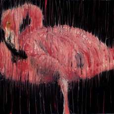 Pink Flamingo ©2014
