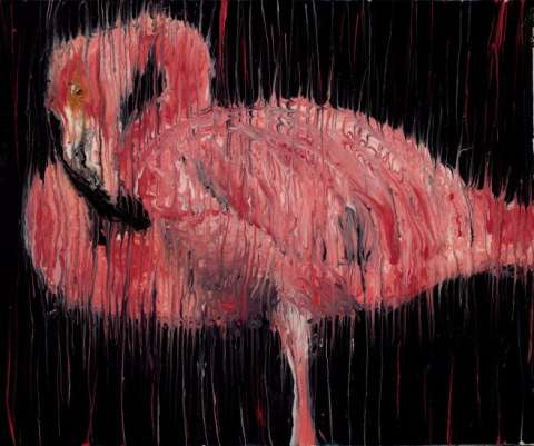 Pink Flamingo ©2014