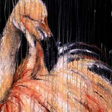 Pale Pink Flamingo ©2014