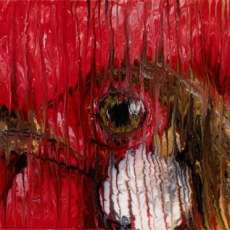 Rooster ©2013