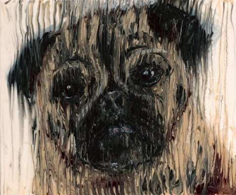 Pug Doggie ©2013