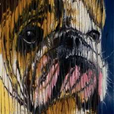 Bulldog ©2013