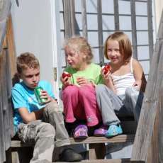 Hauser'S Superior View Farm Apples Are a Treat!