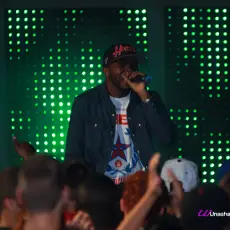 6S Pixel Panel patch display