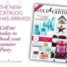 Summer Catalog cover