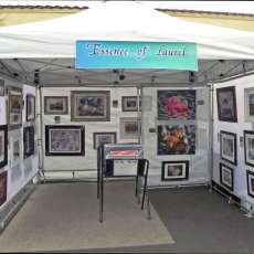 Essence of Laurel Tent