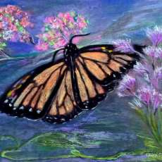 The Butterfly Effect