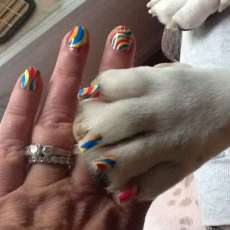 A Girls 1st Best Friend