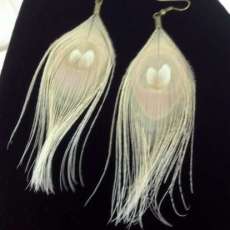 Ivory peacock feather earrings