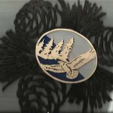 Pine Cone Eagle