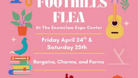 The Foothills Flea Market