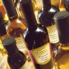 Balsamic Vinegars Olive Oils