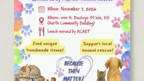 Acarf Craft Show