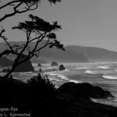 Oregon Coast -Ecola State Park