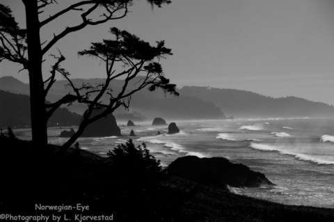 Oregon Coast -Ecola State Park