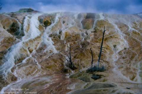 Mammoth Hotsprings