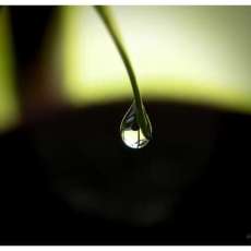 Morning Reflections 1