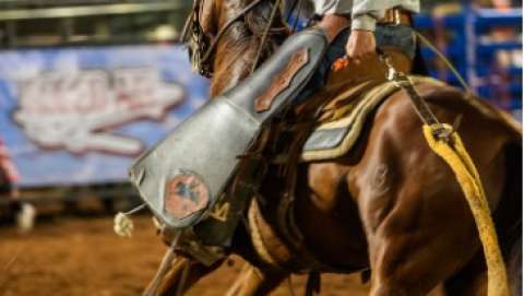 Maury County Fair