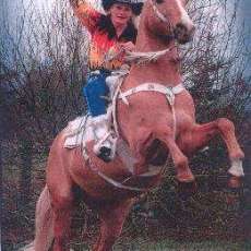 Cowboy-Lone and her horse Rico