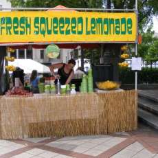 Lemonade Stand
