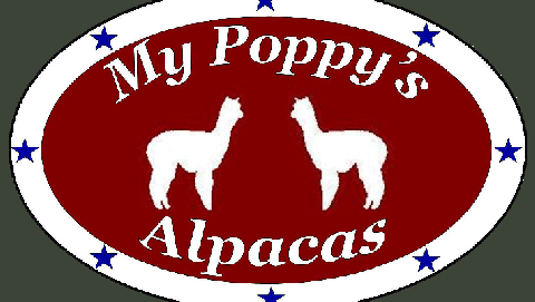 My Poppy's Alpacas at Laurita Winery