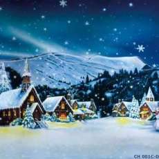 Christmas in the Village Night