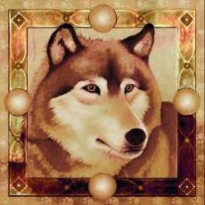 Kevin Chasing Wolf Hutchins