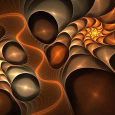 Chocolate Nautilus Bar