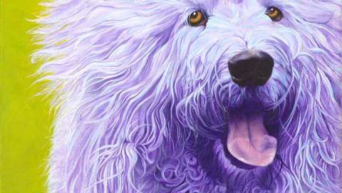 Debbie Park-Boussu Debbie Park-Boussu