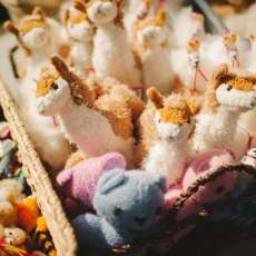 Some of our Alpaca products