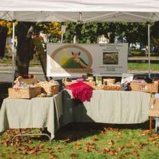 Bayns Hill Alpaca Farm Booth!