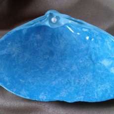 Seashell Soap Dishes