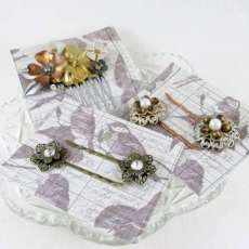 Hair Clips and Combs