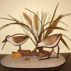 Sanderling Duo on a Beach with Driftwood