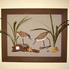 Sanderling Duo in a Barnwood Frame