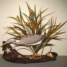 Tri-Color Heron on Driftwood