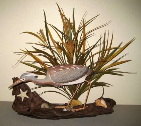 Tri-Color Heron on Driftwood