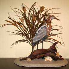 Reddish Egret on a Beach with Driftwood