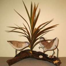 Sanderling Trio on U-Shaped Driftwood