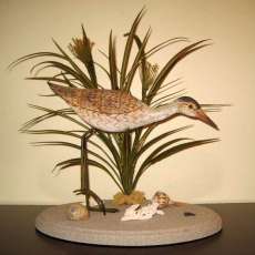 Sandpiper on a Beach