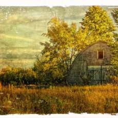 Sunshine Came Softly