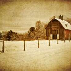 On a Day in Early December