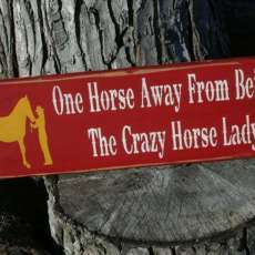 Crazy Horse Lady