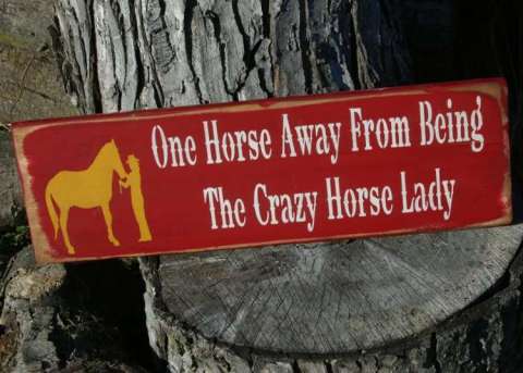 Crazy Horse Lady