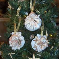 Scallop Ornaments