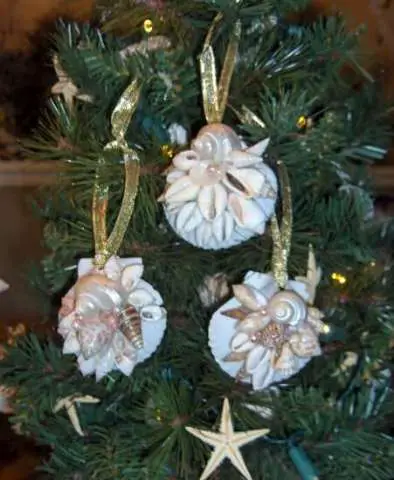Scallop Ornaments
