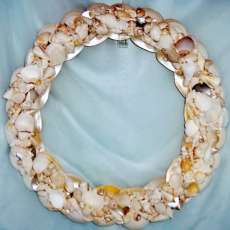 White Seashell Wreath